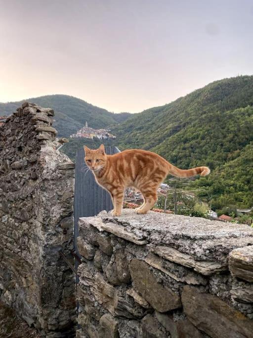 Iconic Italian Townhouse W Rooftop Terrace & Mountain View, Pigna Exterior photo