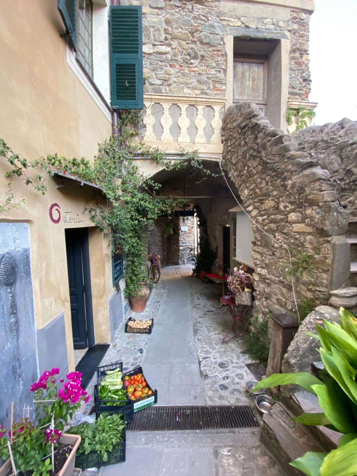 Iconic Italian Townhouse W Rooftop Terrace & Mountain View, Pigna Exterior photo