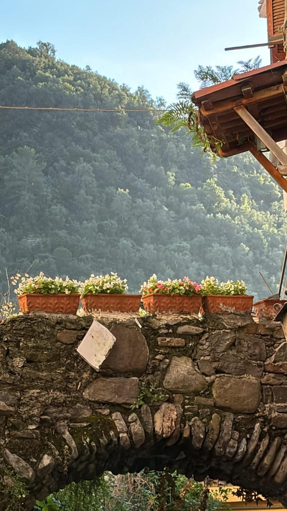 Iconic Italian Townhouse W Rooftop Terrace & Mountain View, Pigna Exterior photo